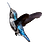 Will_RPA